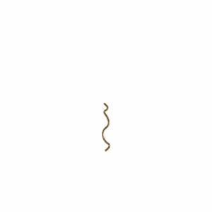Rounded S02 (Gold Colour Polished)