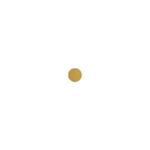 Geometrical Earstick Dot (Gold Colour/Brushed)